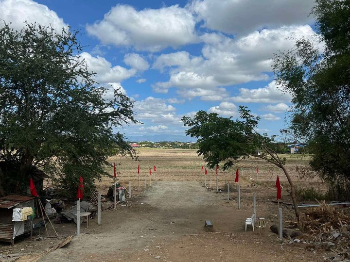 150 SQM Lot for Sale in Tarlac City- Suizo Ungot, Tarlac