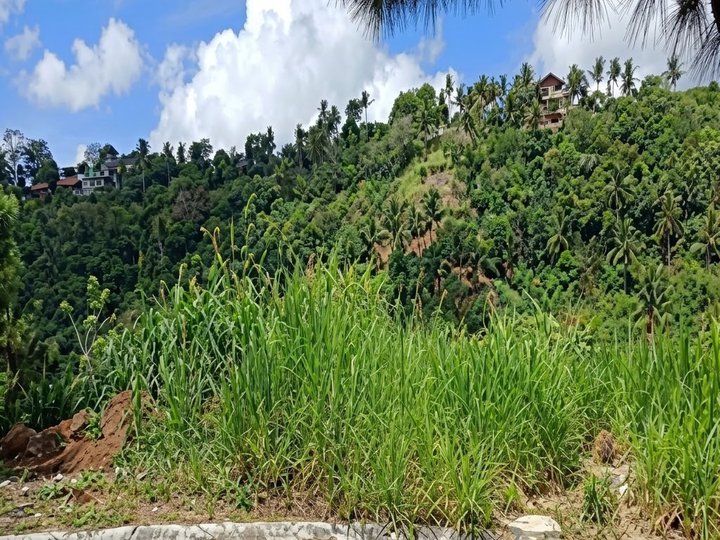 Foreclosed 687 sqm Residential Lot For Sale in Cavite City