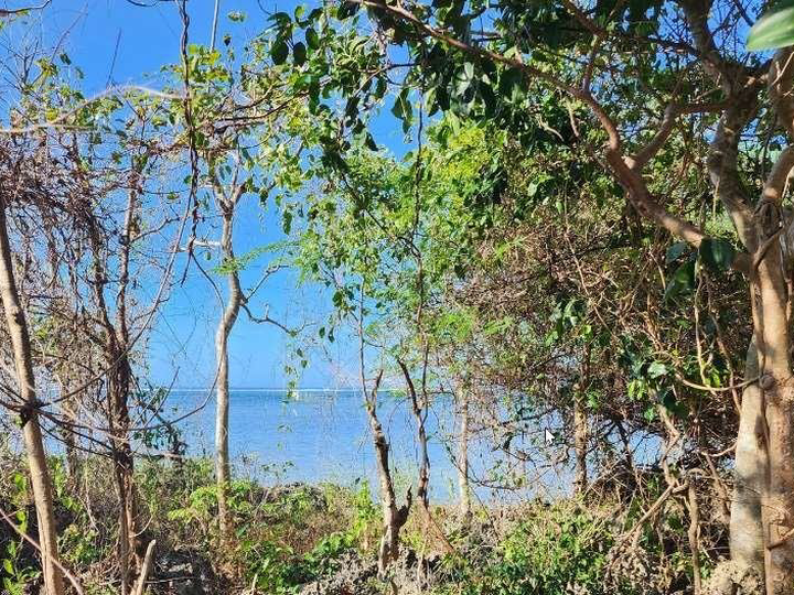 Prime Beachfront Lot for Sale in Bolinao, Pangasinan