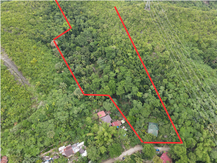 7,360 sqm Residential Farm For Sale in Consolacion Cebu