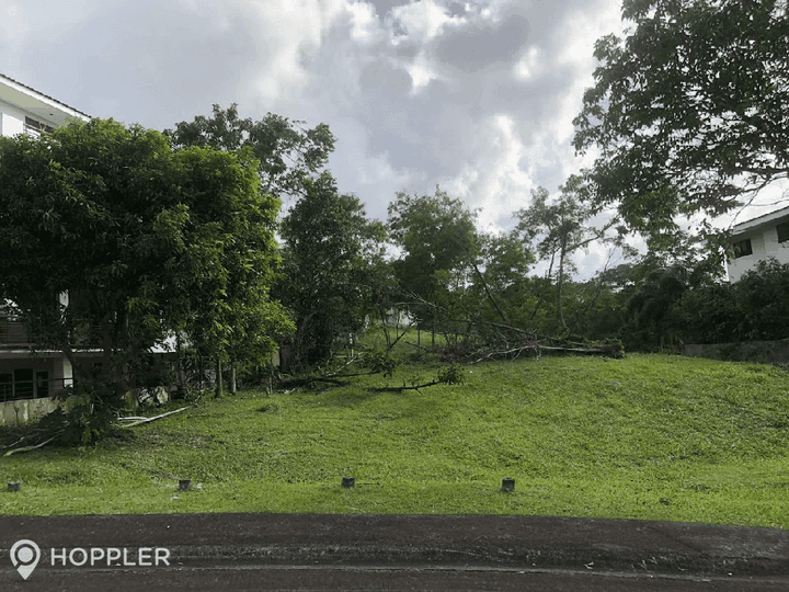 429.0sqm Lot for Sale in Ayala Greenfield Estates, Laguna - RS4756884
