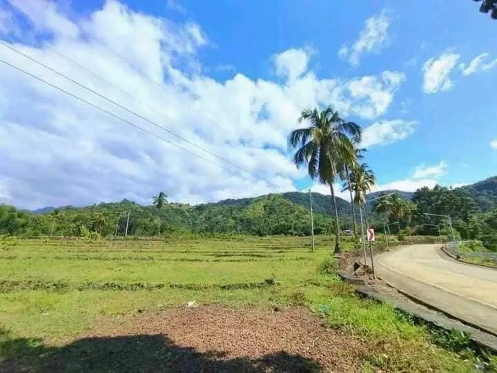 Residential Lot For Sale in Valderrama Antique