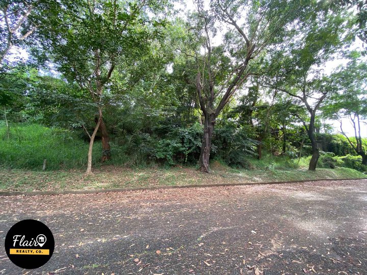 RESIDENTIAL LOT FOR SALE IN ANTIPOLO INSIDE EXCLUSIVE SUBD.