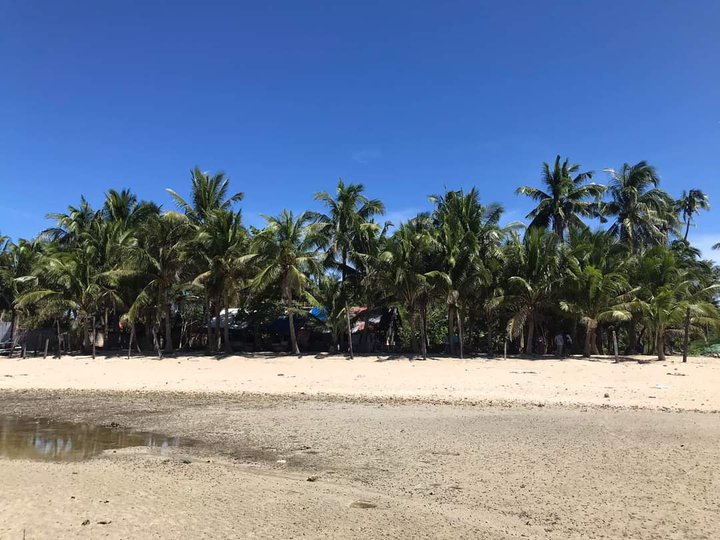 Titled Beach Lot in Bantayan Island for Sale 2,634 SQ Mtr