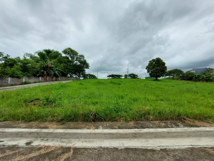 Residential Lot for Sale in Angono near Thunder Bird