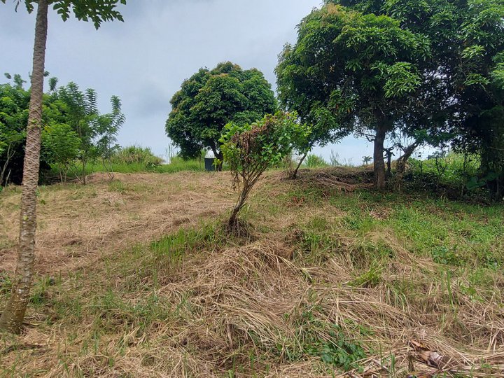 Discounted 6,204 sqm Vacant Land For Sale in Tagaytay Cavite