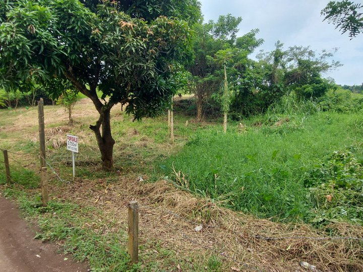 4,050 sqm Raw Land For Sale in Tagaytay Cavite
