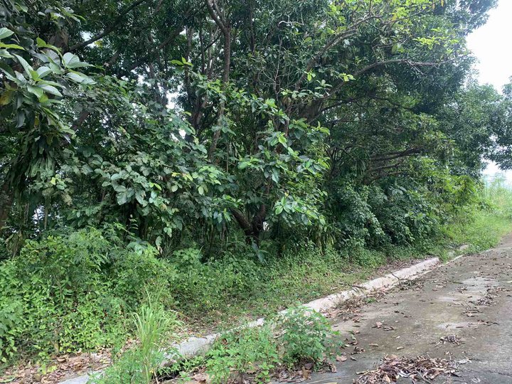 404 sqm Eastland Heights lot for Sale | Nature view