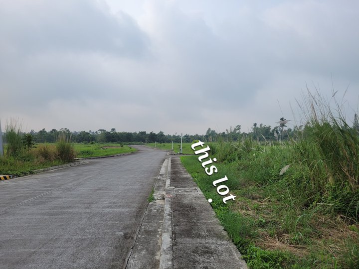 LIPA CITY LOT FOR SALE [Lot 🚜] (September 2023) in Lipa, Batangas for
