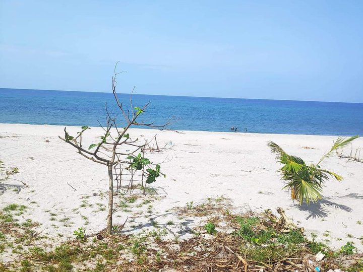 INSTALLMENT BEACH LOT  FOR SALE IN SAN NARCISO ZAMBALES