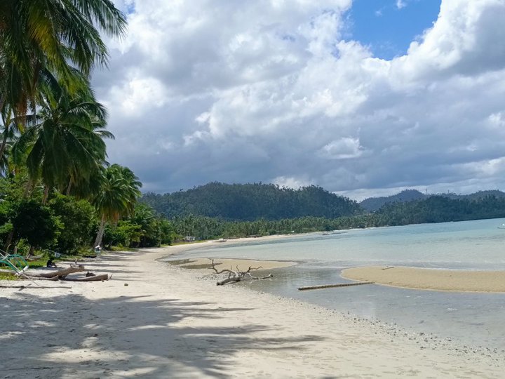 PAMUAYAN BEACH - SAN VICENTE PALAWAN