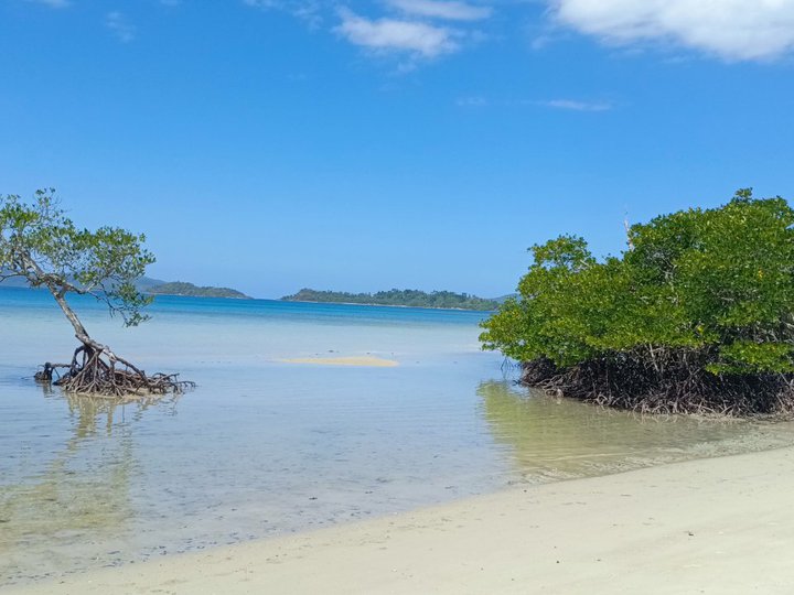 PAMUAYAN BEACH LOT- SAN VICENTE PALAWAN