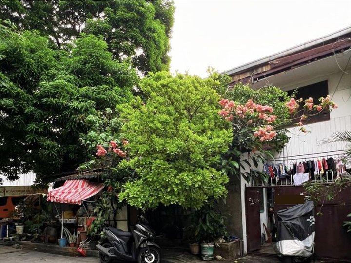 Old House and Lot For Sale In Mandaluyong