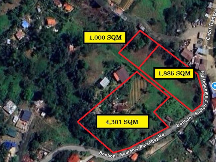 I am selling Lot Only Residential Farm at Mountain Side of Cebu City