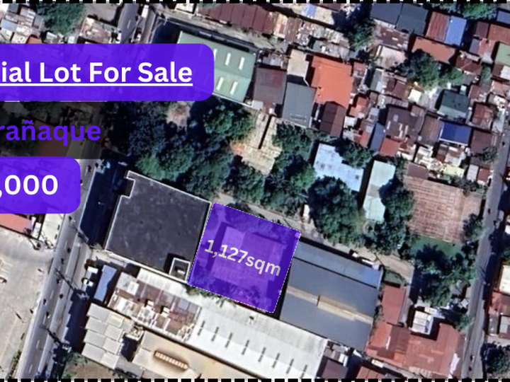 Warehouse Lot or Residential Lot For Sale in Quirino Avenue Paranaque City