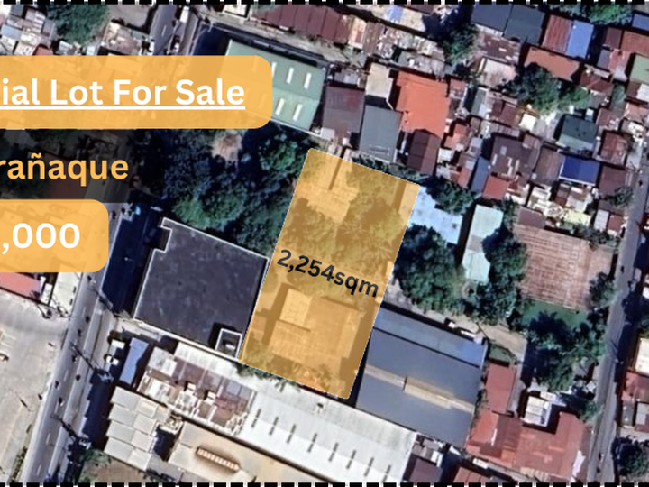 Warehouse Lot or Residential Lot For Sale in Quirino Avenue Paranaque City