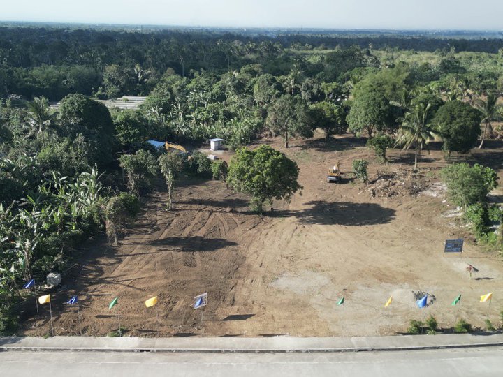 Lot For Sale In Amadeo Cavite 200 Sqm Lot Size Along Highway