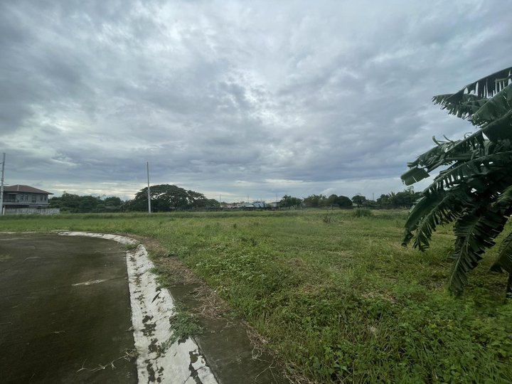 Waterwood 233 sqm Residential Lot For Sale in Baliuag Bulacan