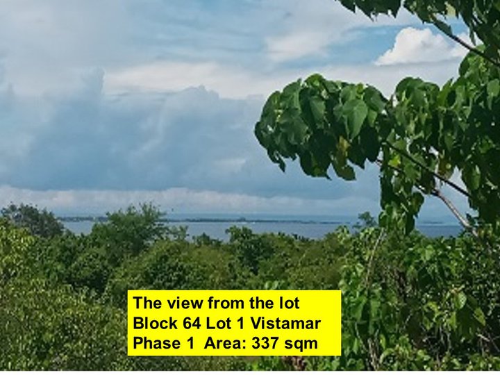 337 sqm Lot For Sale with sea view at Vistamar  in Mactan Cebu