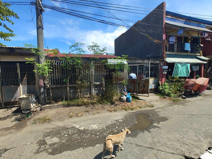 HOUSE AND LOT FOR SALE VILLA PALAO, CALAMBA CITY, LAGUNA