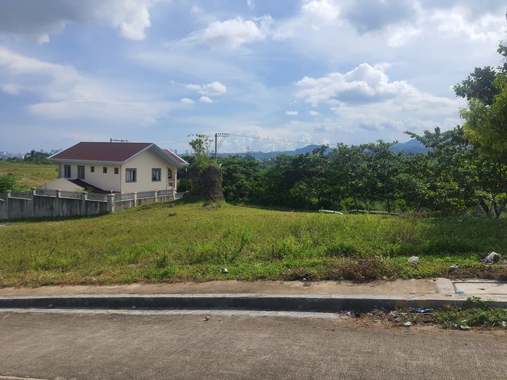 204 sqm Residential Lot For Sale in Consolacion Cebu  VISTA VERDE