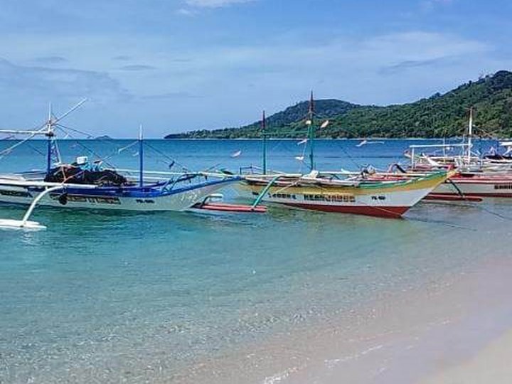 3.15 hectares Beach Property For Sale in San Vicente Palawan