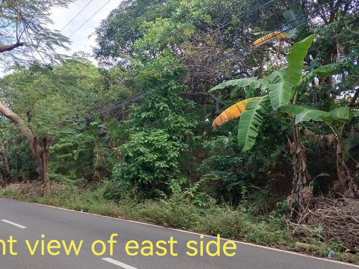 5.29 hectares Lot For Sale in Morong Bataan