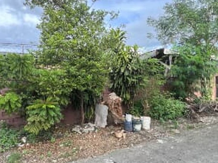 FOR SALE: AFPOVAI Taguig Lot