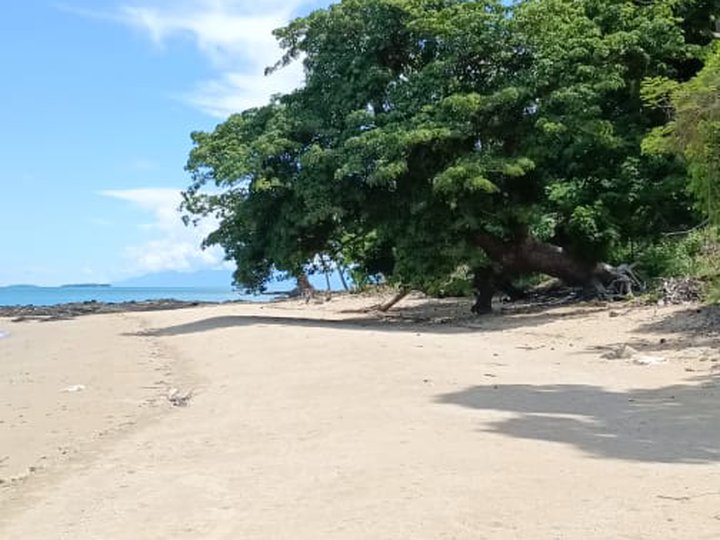 719 sqm Overlooking/Subdivided Beach Lot in Roxas, Palawan
