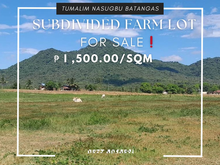 2,387 sqm Residential Farm For Sale in Nasugbu Batangas