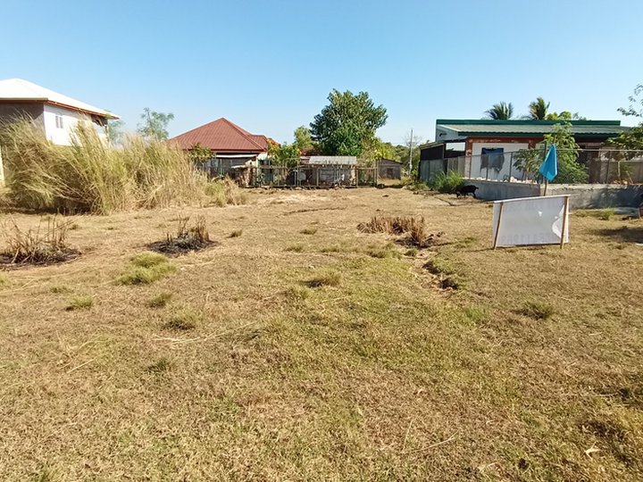 Vacant  elevated lot in Sabangan Alaminos City going Bolo Beach