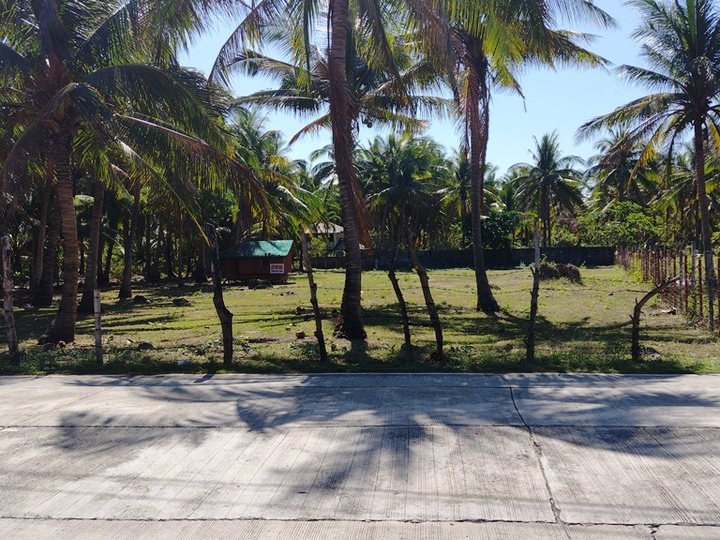 Residential land near the beach in Bolinao ,Pangasinan