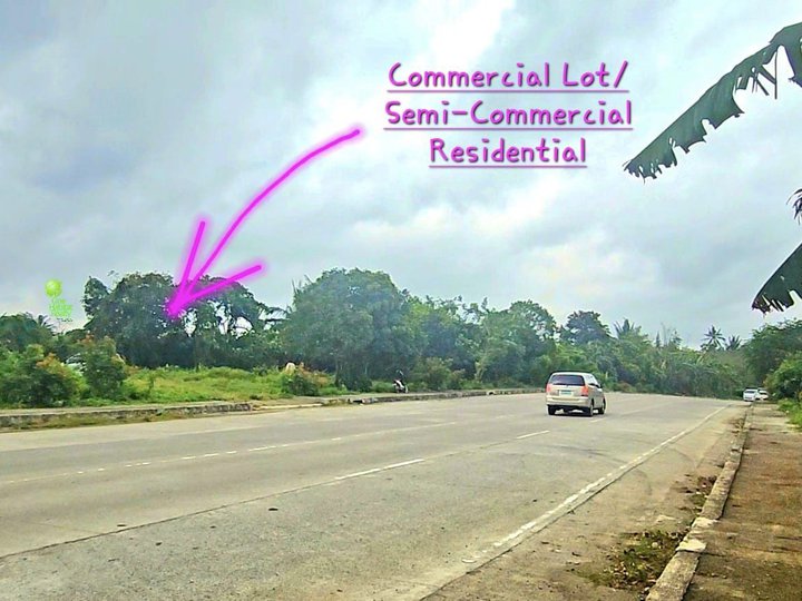 200 sqm Residential Lot For Sale in Amadeo Cavite