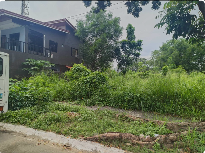 LOT FOR SALE - 231 sqm in Redwood Park Subdivision, Taytay, Rizal