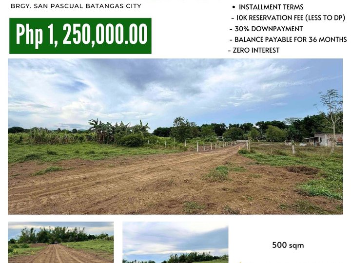 500 sqm Farm Lot For Sale in San Pascual Batangas