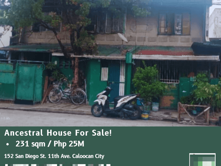 231 sqm Ancestral House for Sale in Caloocan