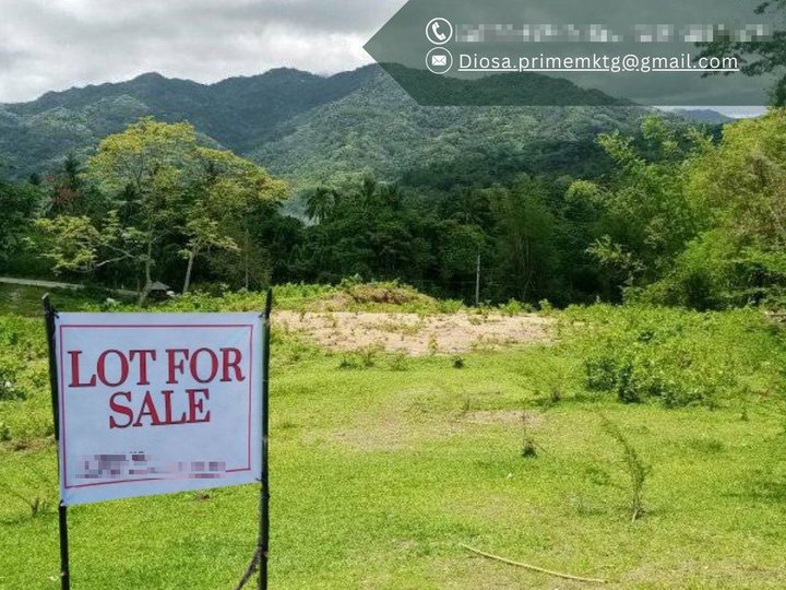 LOT FOR SALE : 100 Sqm Residential Farm For Sale in Haligue Batangas City Batangas