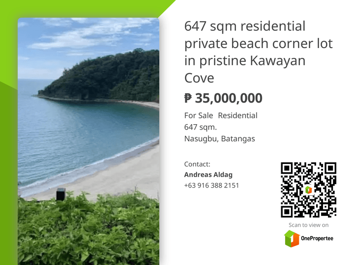 Photo inspiration: Fresh Look at High End And Super Private Beach Lot Kawayan Cove
