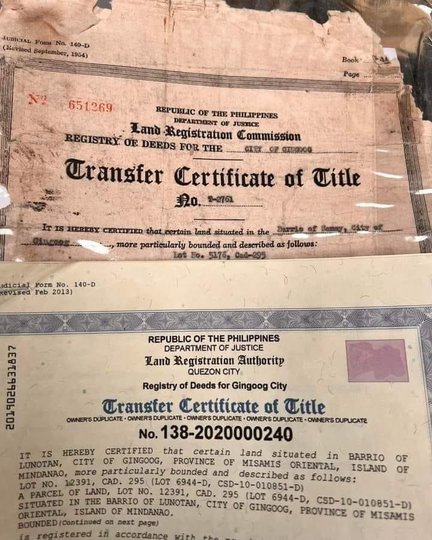 how to transfer mother title to another person