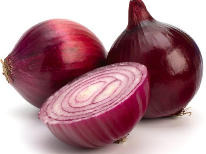 Investment Guide for Onion Farming in the Philippines Manigo Agri