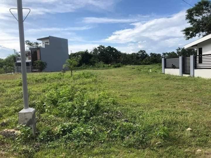 Affordable Land Investment in Panglao Island [Lots 🚜] (October