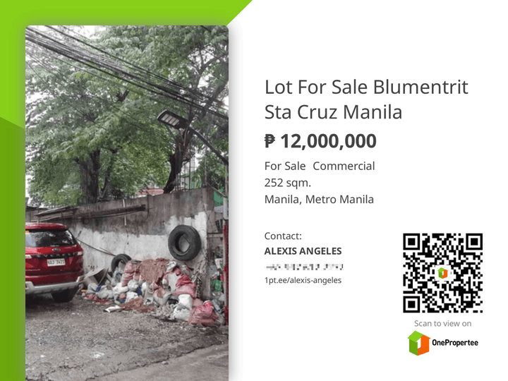 Lot For Sale Blumentrit Sta Cruz Manila Lot March 2024 in